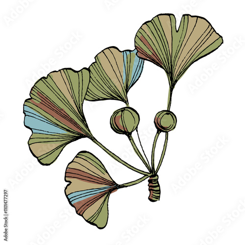 Ginkgo Leaf Sketch Vector Illustration