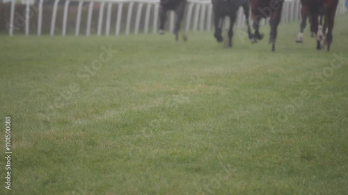 A fog-covered racetrack sees horses sprinting on grass, their legs flinging turf with each step. Slow-motion shot highlighting the raw power of the race. photo