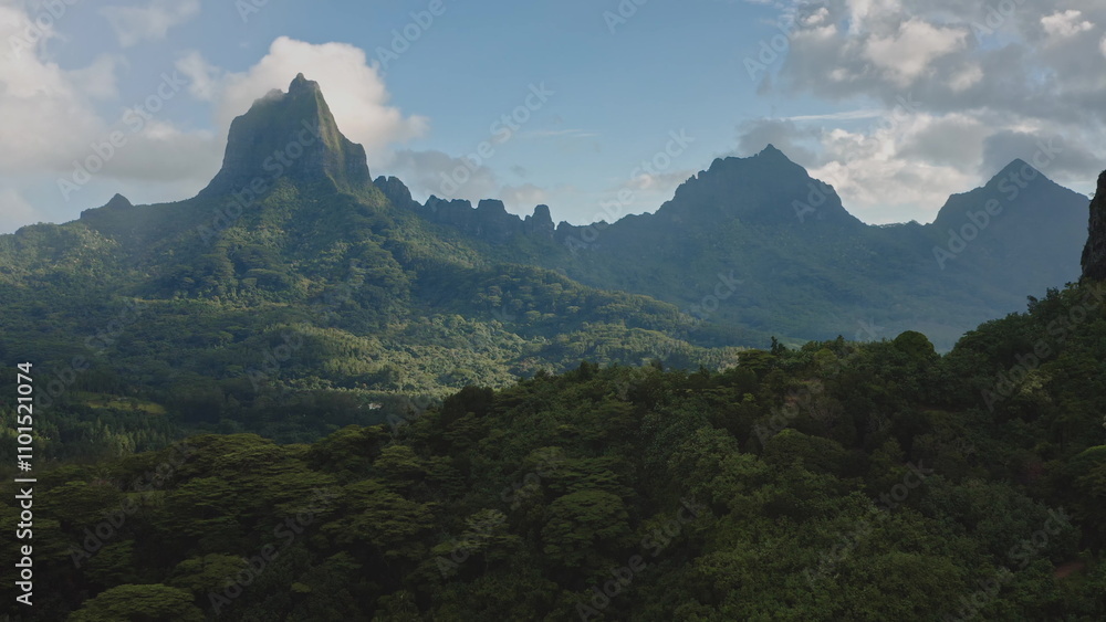 Fototapeta premium Scenic aerial perspective of green rainforest blanketing the rugged volcanic mountains peaks, stunning panorama of Moorea tropical island in French Polynesia. Remote wild nature travel background