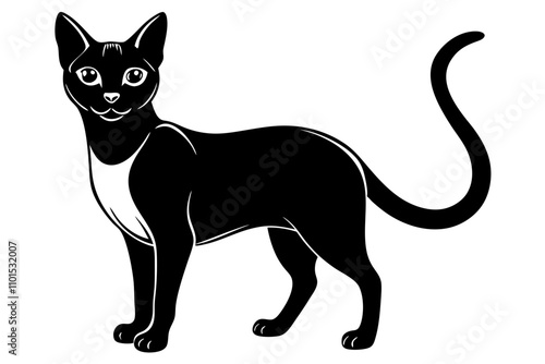 Burmese Cat Silhouette Vector Illustration