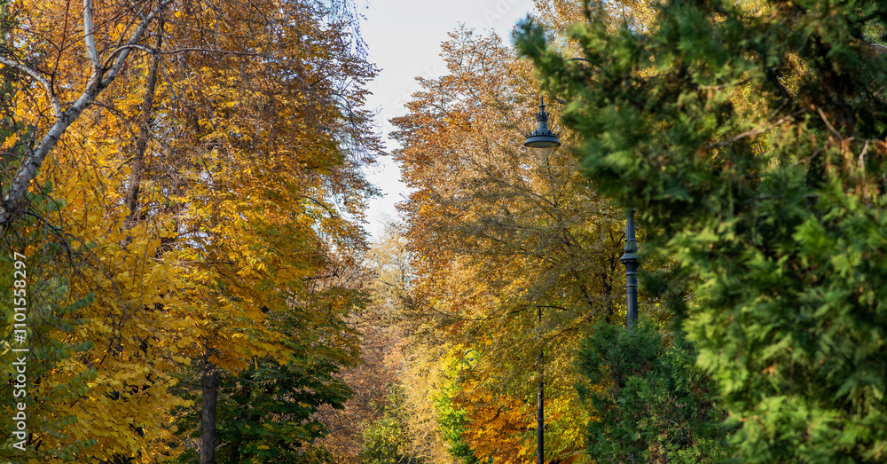 A serene park path is lined with trees showcasing their autumn splendor. The golden and green foliage creates a vivid canopy, with a classic streetlamp adding to the picturesque scene. A serene park path is lined with trees showcasing their autumn splendor. The golden and green foliage creates a vivid canopy, with a classic streetlamp adding to the picturesque scene.