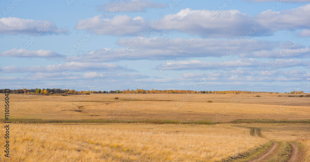An expansive golden field stretches under a wide sky, with layers of white clouds. A distant treeline autumn's color, of yellow and orange foliage offering a contrast to the gold of the grassland. An expansive golden field stretches under a wide sky, with layers of white clouds. A distant treeline autumn's color, of yellow and orange foliage offering a contrast to the gold of the grassland.