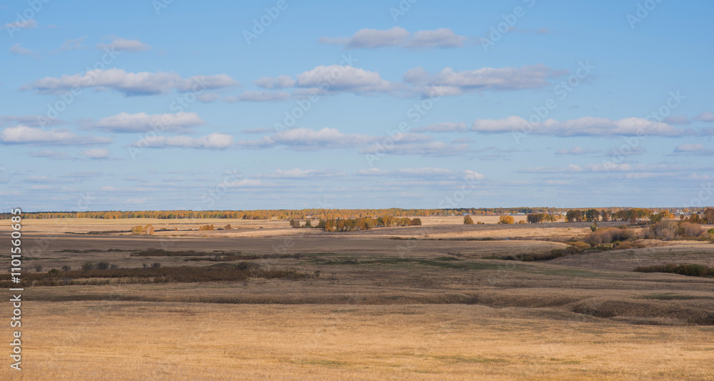 Undulating fields stretch towards a distant line of trees resplendent with autumn's fiery palette, under a sky streaked with soft clouds. Undulating fields stretch towards a distant line of trees resplendent with autumn's fiery palette, under a sky streaked with soft clouds.