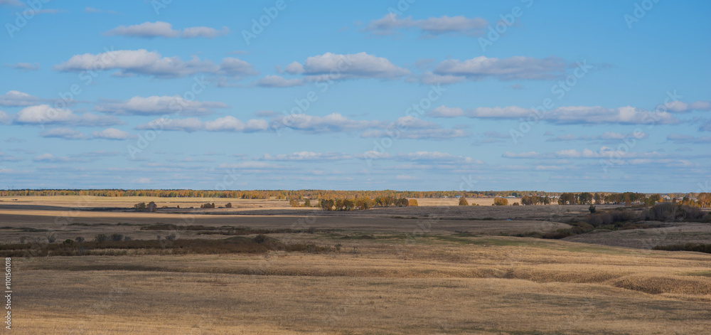A vast open field with golden hues meets a distant treeline showing autumn's touch under a spacious sky adorned with gentle clouds A vast open field with golden hues meets a distant treeline showing autumn's touch under a spacious sky adorned with gentle clouds