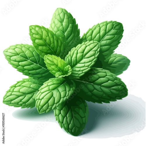 Close-up of Fresh Mint Leaves – Vibrant Green Cluster with Serrated Edges