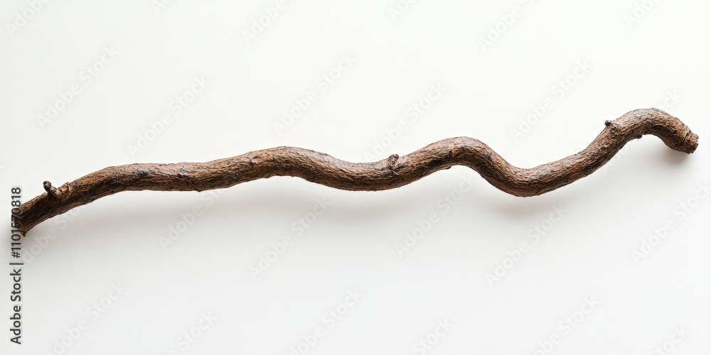 Twisted Dark Brown Wooden Branch on White Twisted Dark Brown Wooden Branch on White