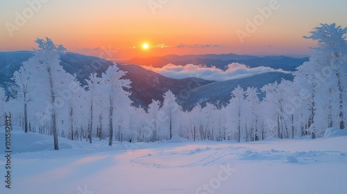 Wallpaper Mural A serene winter landscape at sunrise, showcasing snow-covered trees and distant mountains. Torontodigital.ca
