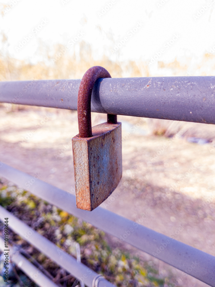 Old padlock on metal fence