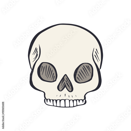 Hand drawn sketchy human skull isolated on white background. Doodle skeleton head tattoo design