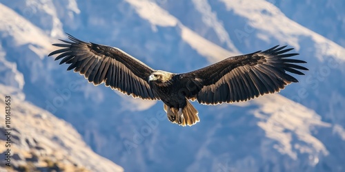 A majestic eagle soaring high above breathtaking mountain landscapes.