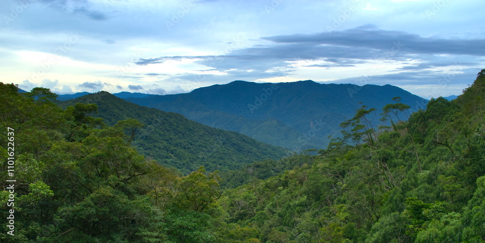 A photo taken during low light along the Mator Highway in Infanta, Quezon, would capture the soft, muted colors of dusk settling over the landscape A photo taken during low light along the Mator Highway in Infanta, Quezon, would capture the soft, muted colors of dusk settling over the landscape