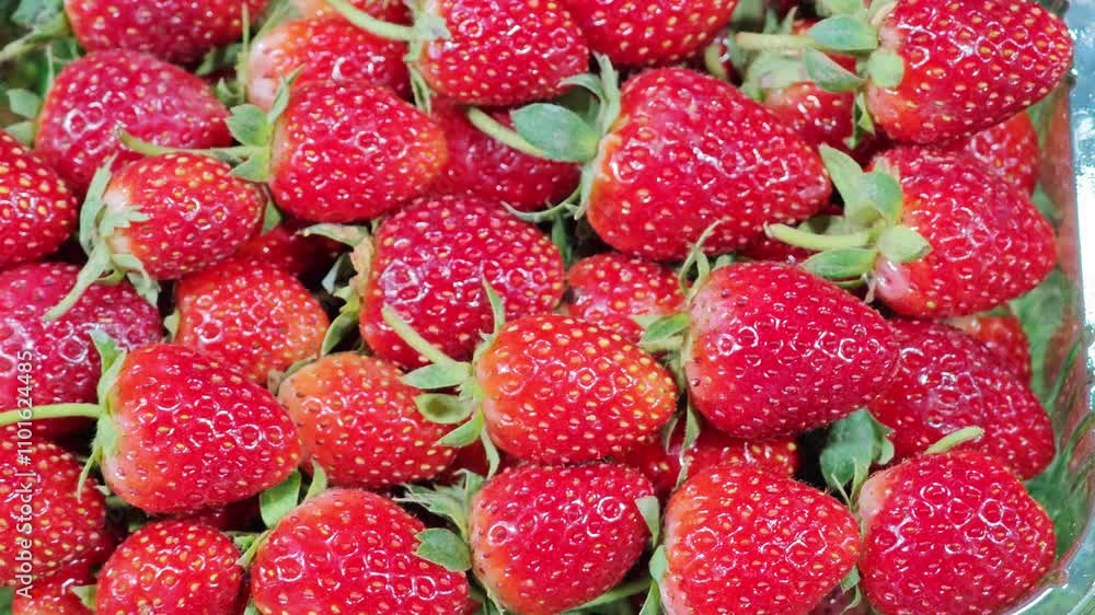 Organic strawberries with nature’s gentle care. Organic strawberries with nature’s gentle care.
