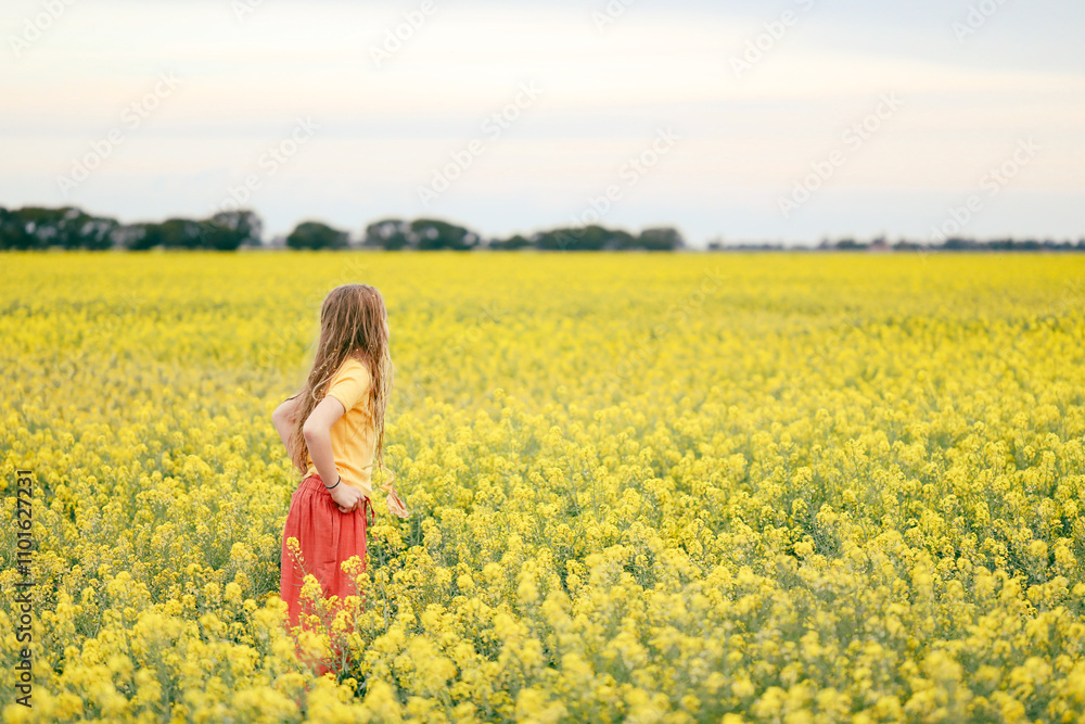 Long haired girl playing in vibrant canola field in full bloom during Spring season Long haired girl playing in vibrant canola field in full bloom during Spring season