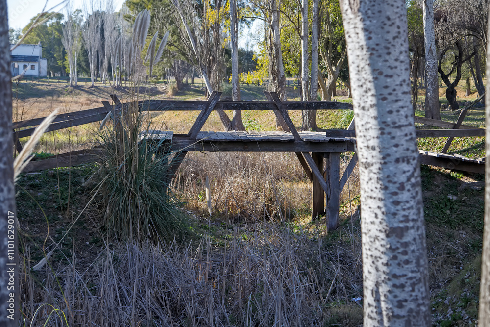 Fototapeta premium wooden fence in the field