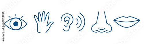5 senses icons, smell, touch, see, taste, hear, Sense organ icons. Illustrations, collection, set, visual sensory line design. Vector illustration