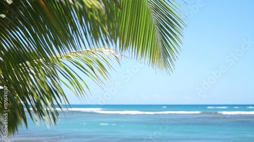 Coco palms swaying gently on a tropical paradise beach, their lush green fronds contrasting against the vibrant turquoise blue water and clear blue sky, inviting tranquility and relaxation, with soft