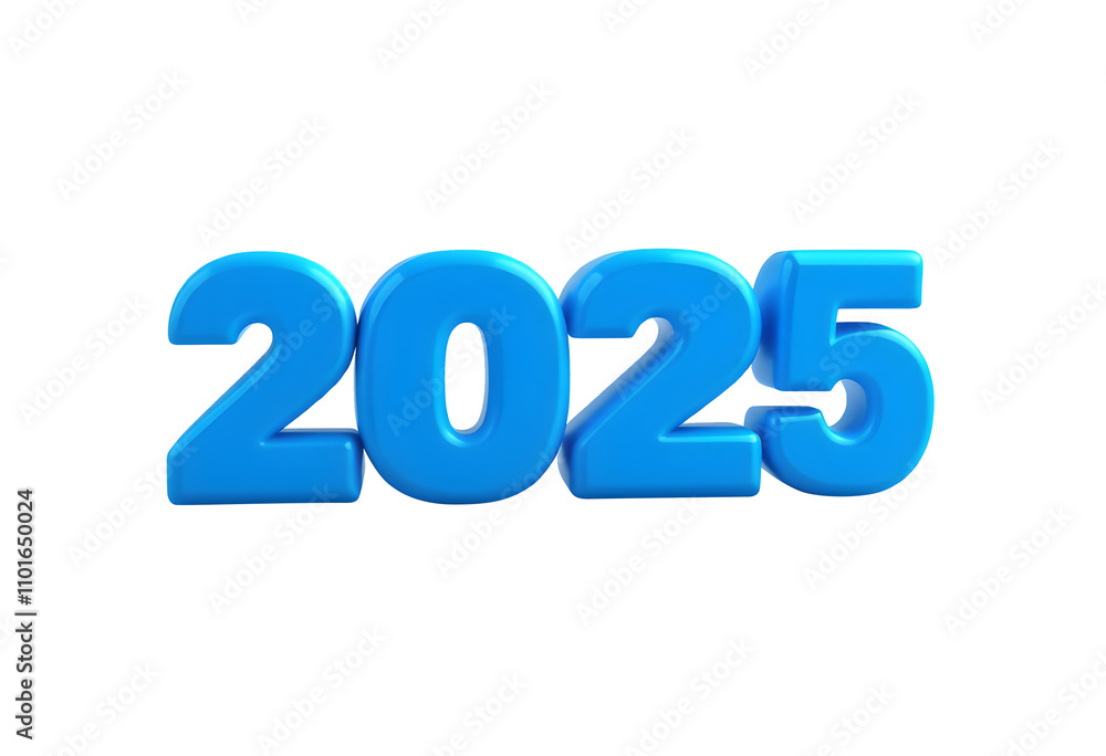 2025 2025