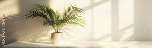 Minimalist podium with a marble surface and a palm plant