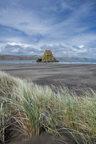 Coastal dunes at Auckland’s West Coast Whatipu Beach, New Zealand