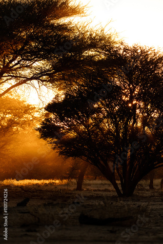 Sonnenuntergang Namibia