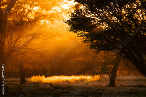 Sonnenuntergang Namibia