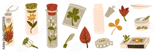 Various containers with branches, twigs, seeds inside. Home floristry for memory. A small jar, a box for storing memorabilia. Terrarium for plants, herbarium, dry flowers. Vector illustration