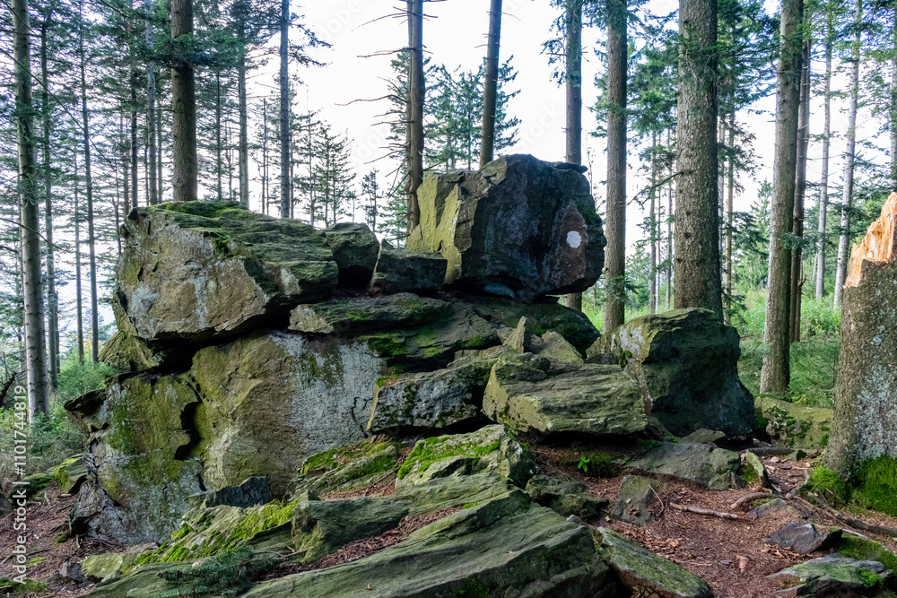 Hiking on the Hadriwa High Path in the Bavarian Forests Germany. Hiking on the Hadriwa High Path in the Bavarian Forests Germany.