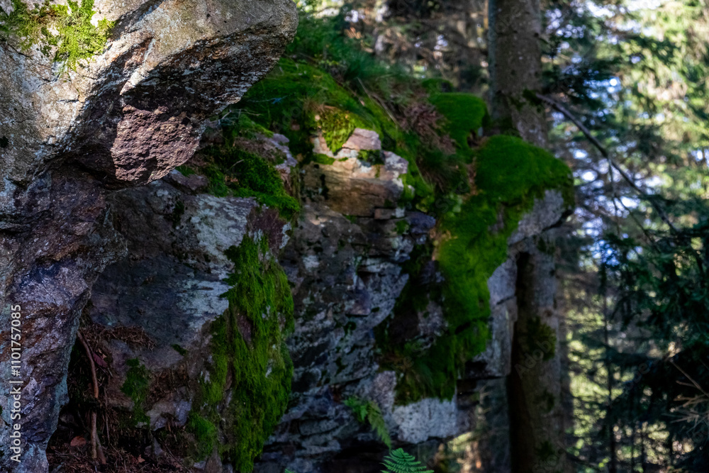 Hiking on the Hadriwa High Path in the Bavarian Forests Germany.