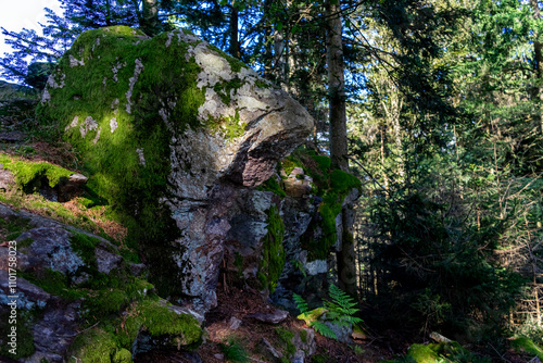 Hiking on the Hadriwa High Path in the Bavarian Forests Germany. photo