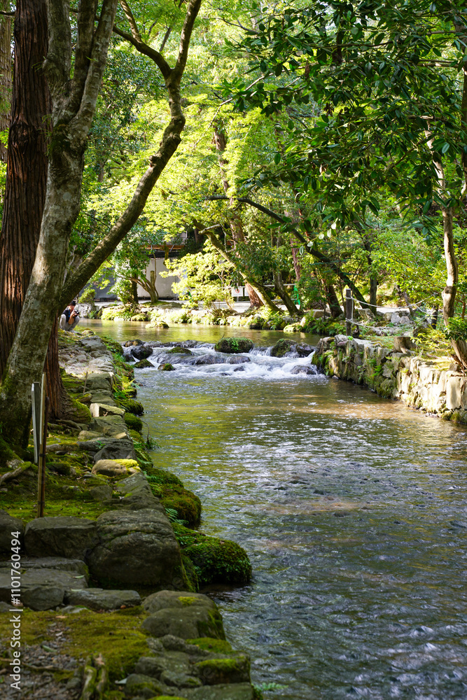 Obraz premium 上賀茂神社境内を流れる川の風景