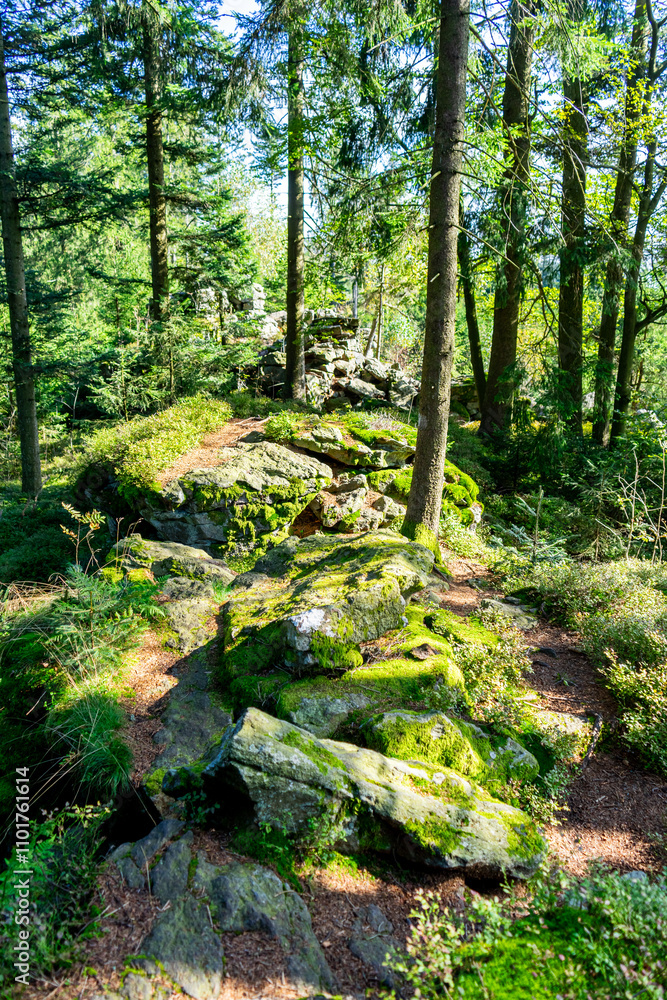 Fototapeta premium Hiking on the Hadriwa High Path in the Bavarian Forests Germany.