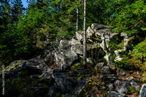 Hiking on the Hadriwa High Path in the Bavarian Forests Germany. photo