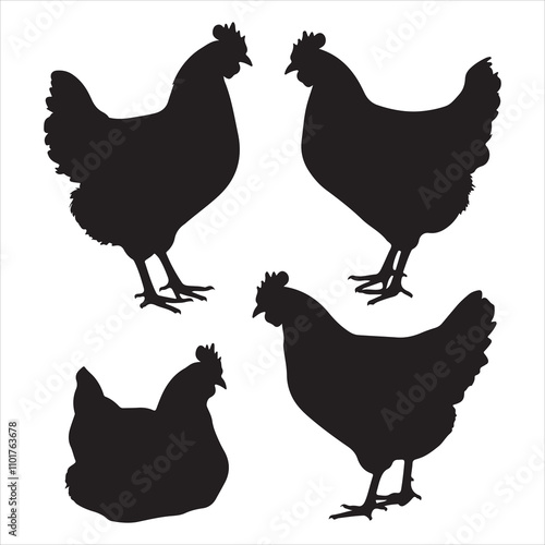 set of vector different types of chicken silhouette