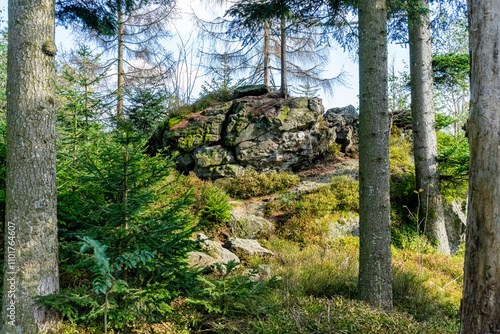 Hiking on the Hadriwa High Path in the Bavarian Forests Germany. photo