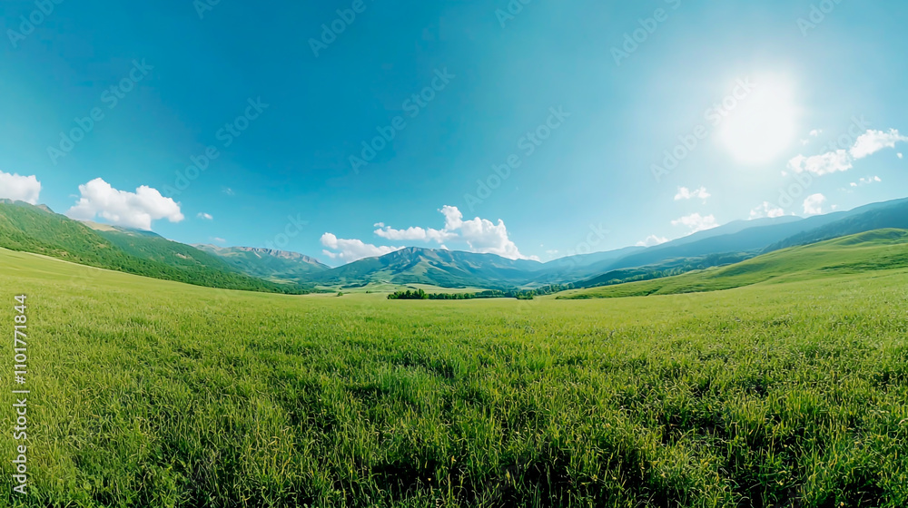 Fototapeta premium Beautiful grassy meadow landscape with a blue sky and sun, a wide panorama. A beautiful green field in the spring or summer season. A green nature background