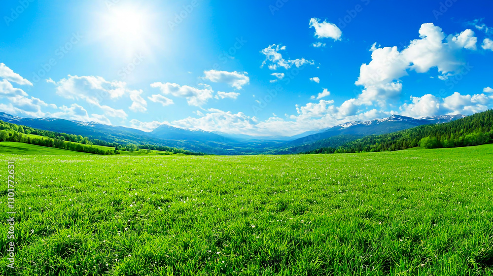 Obraz premium Panoramic view of a green meadow with mountains in the background, a blue sky, and a spring season. Panoramic, wide-angle lens photograph with great detail.