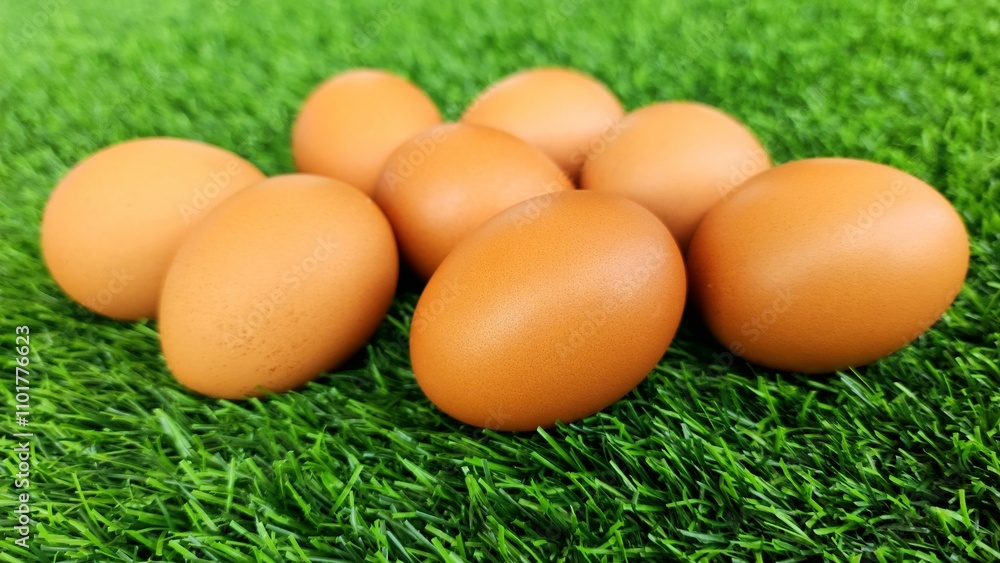 Broiler chicken eggs with dark brown shells on a green grass background Broiler chicken eggs with dark brown shells on a green grass background