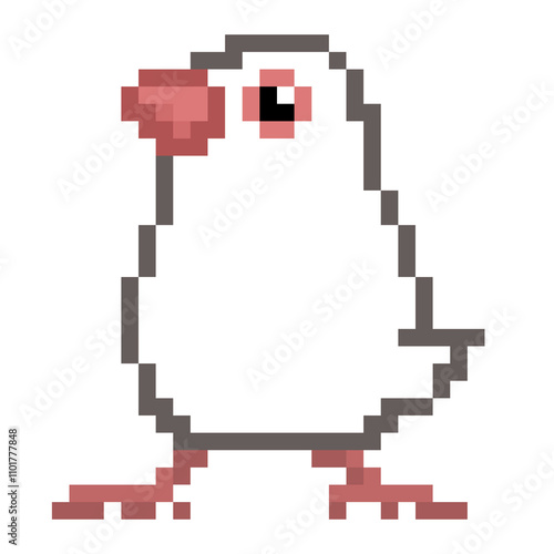 ドット絵, アニマルイラスト, 白文鳥, ブンチョウ
