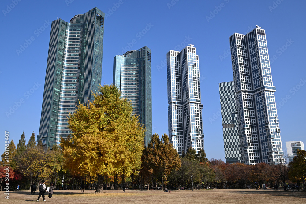 Obraz premium Seoul Forest Park and surrounding apartment buildings in eastern Seoul, South Korea