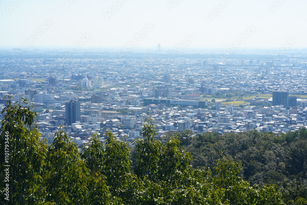 Naklejka premium 岐阜県の金華山からの岐阜市内の風景