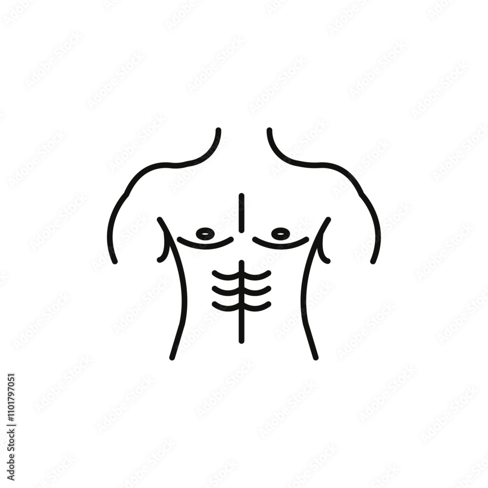 Male torso icon flat line symbol set. Male torso icon flat line symbol set.