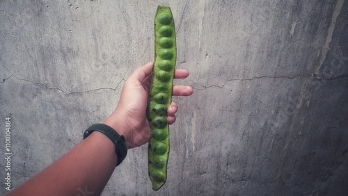 Принти на полотні twisted cluster bean in the hands of a man