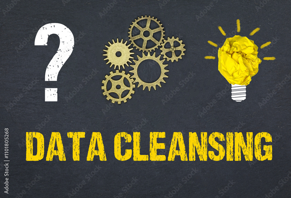 Fototapeta premium Data Cleansing