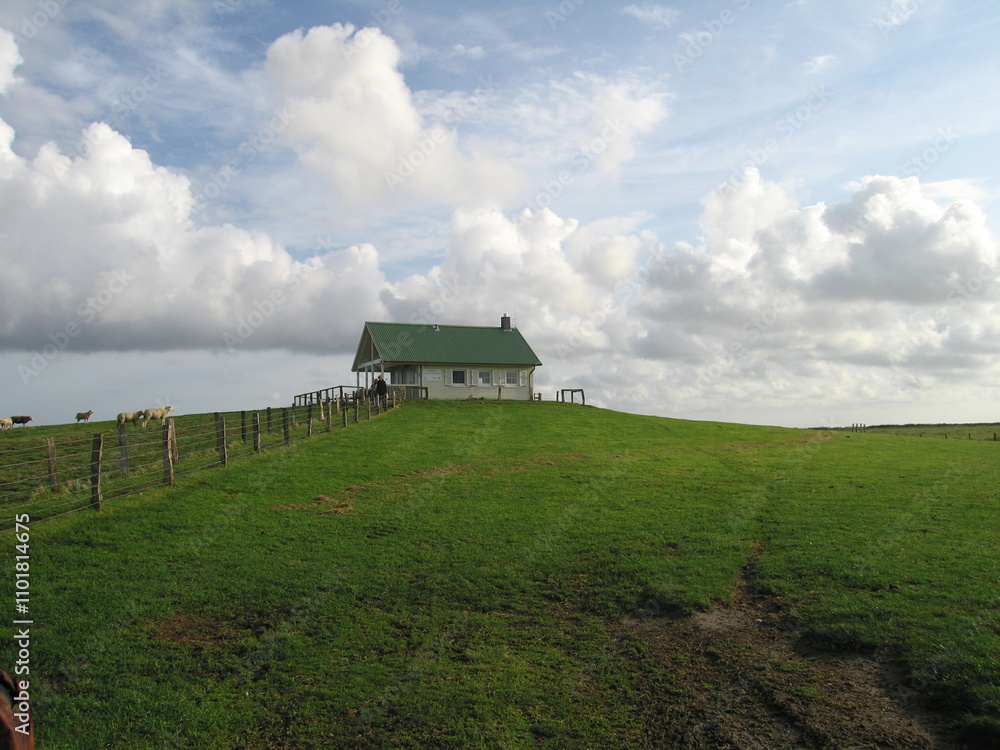 Hamburger Hallig in Nordfriesland an der Nordsee Hamburger Hallig in Nordfriesland an der Nordsee