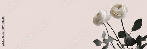 Beautiful arrangement of white flowers and greenery on a soft pastel backgrou...
