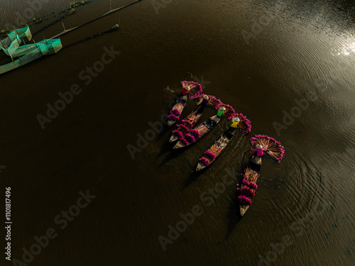 Harvesting water lilies in the floating season on Moc Hoa field, Long An. Video shot in Moc Hoa, Long An on September 9, 2024. photo