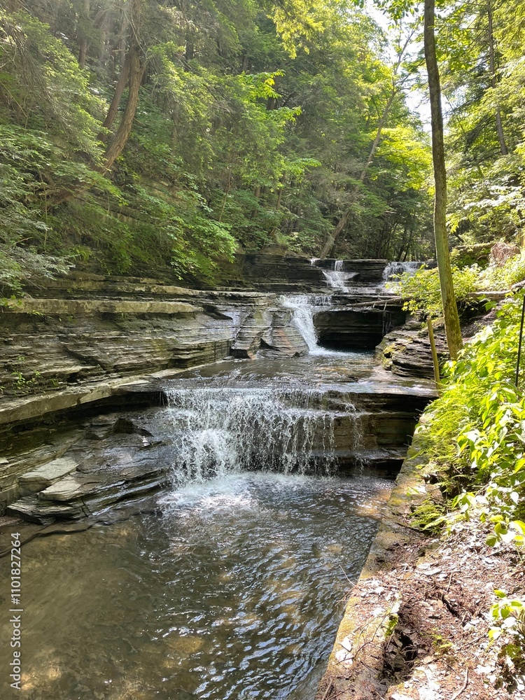 waterfall in the forest