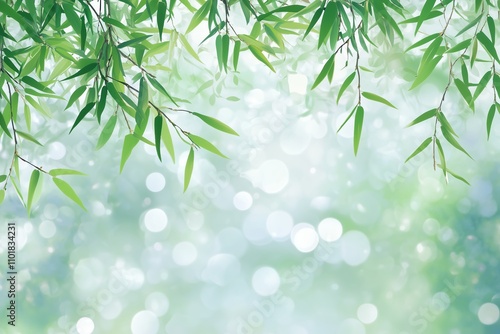 Beautiful green bamboo background with a bokeh effect, close-up of bamboo leaves and trunks, a green nature concept, a spa or wellness design template