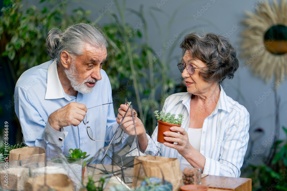 master class on creating compositions with plants for elderly people happy old age elderly couple pleasant memories leisure time in old age master class on creating compositions with plants for elderly people happy old age elderly couple pleasant memories leisure time in old age