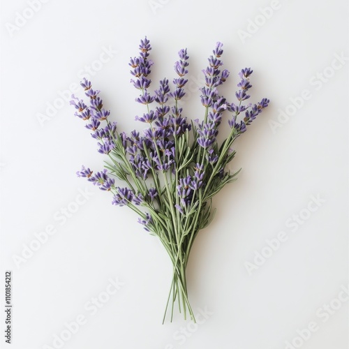 Lavender bouquet arranged on a neutral surface in a calm setting